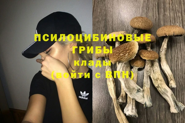 прущий лед Бородино