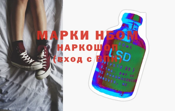 прущий лед Бородино