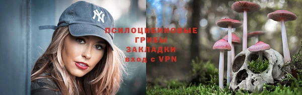 а пвп мука Бронницы