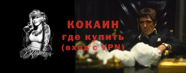 прущий лед Бородино