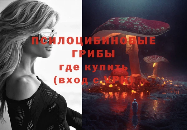 а пвп мука Бронницы