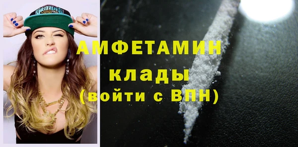 прущий лед Бородино