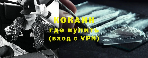 прущий лед Бородино