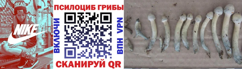 Псилоцибиновые грибы мухоморы  Дагестанские Огни 